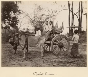 Chariot tiré par deux bœufs à Mandalay, Birmanie, vers 1885